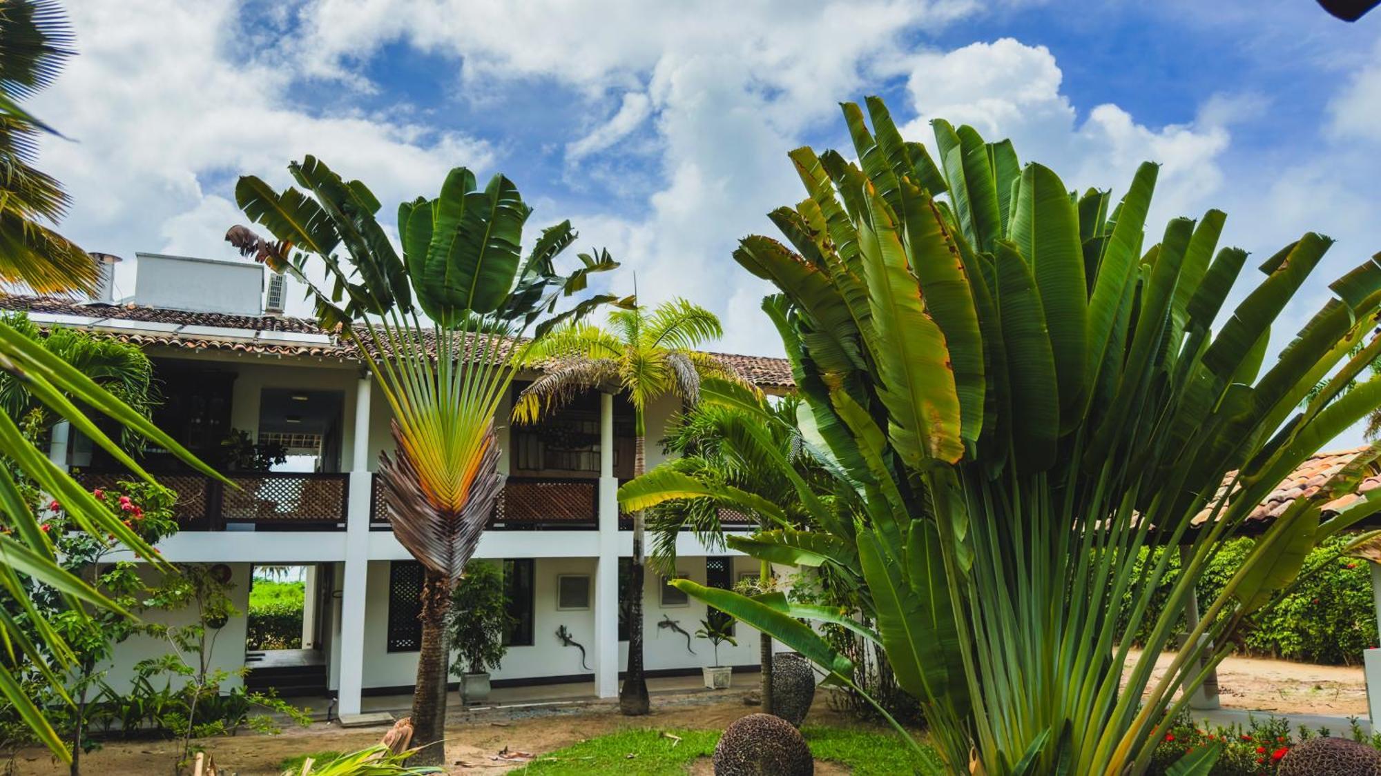 Hotel Casa Acayu São Miguel dos Milagres Exterior foto